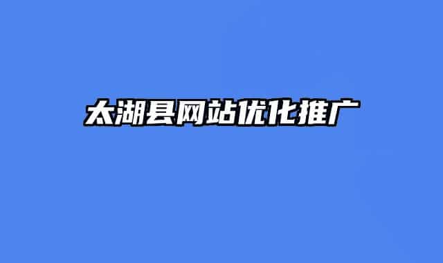 太湖縣網站優(yōu)化推廣