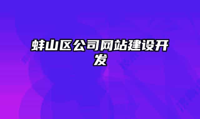 蚌山區(qū)公司網(wǎng)站建設開發(fā)