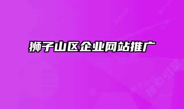 獅子山區(qū)企業(yè)網(wǎng)站推廣