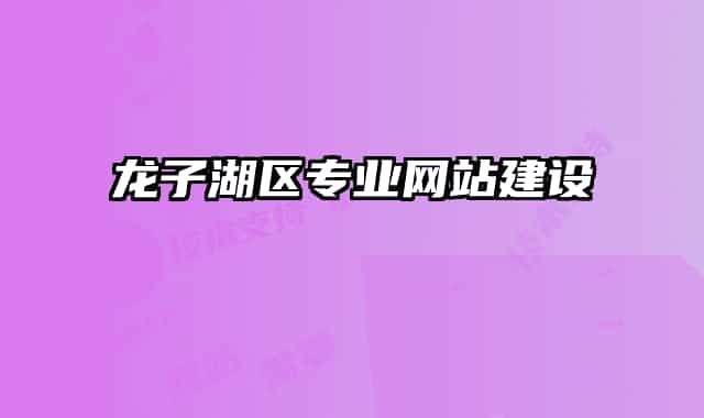 龍子湖區(qū)專業(yè)網(wǎng)站建設(shè)