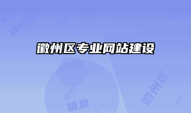 徽州區(qū)專業(yè)網(wǎng)站建設(shè)