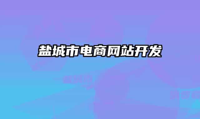 鹽城市電商網(wǎng)站開(kāi)發(fā)