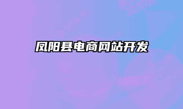 鳳陽(yáng)縣電商網(wǎng)站開發(fā)