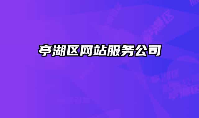 亭湖區(qū)網(wǎng)站服務公司
