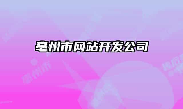 亳州市網(wǎng)站開(kāi)發(fā)公司