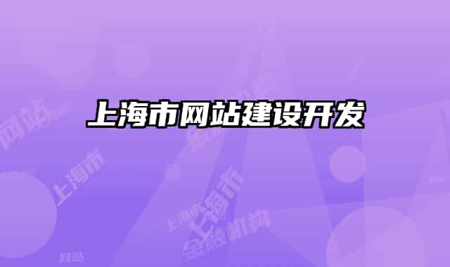上海市網(wǎng)站建設(shè)開(kāi)發(fā)