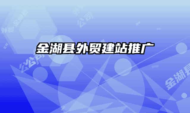 金湖縣外貿(mào)建站推廣