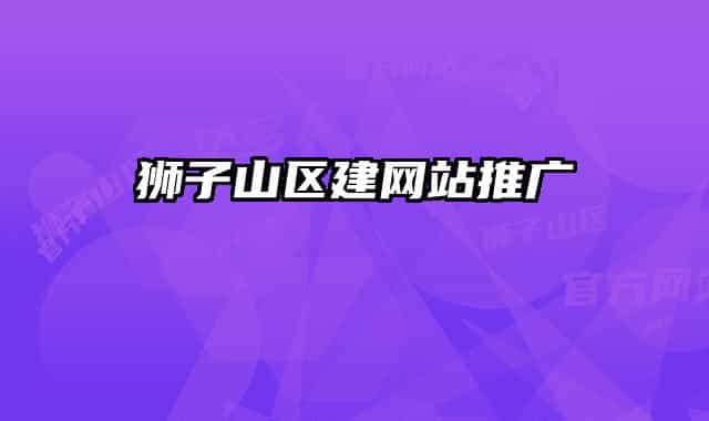 獅子山區(qū)建網(wǎng)站推廣