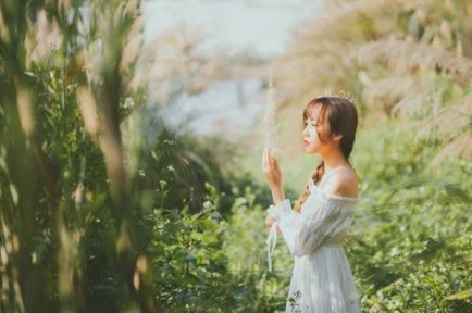 j建立網(wǎng)站